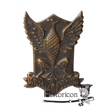 Orzeł ochotników z Ameryki