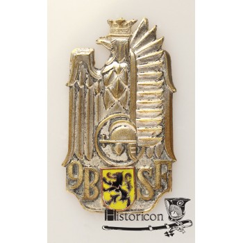 9 Batalion Strzelców Flandryjskich