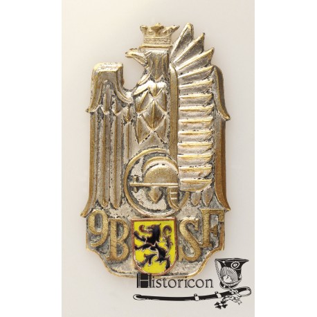 9 Batalion Strzelców Flandryjskich