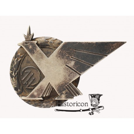 Odznaka 1 Pułku Lotniczego