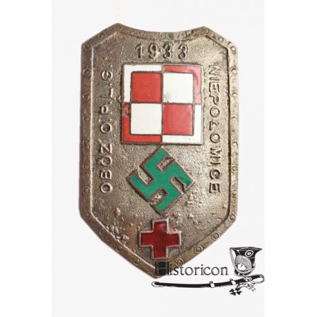 Rzadka odznaka obozu obrony przeciwlotniczej i przeciwgazowej