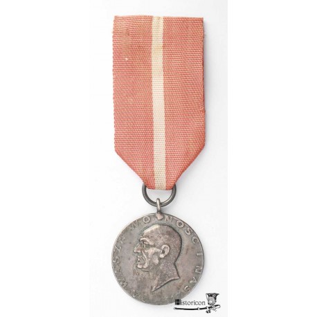Medal „ZA WASZĄ WOLNOŚĆ I NASZĄ”