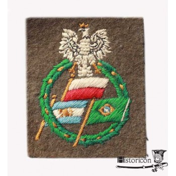 Naszywka ochotników z Ameryki Południowej