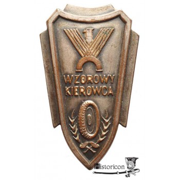 Wzorowy Kierowca