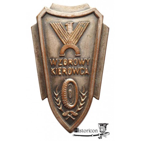 Wzorowy Kierowca
