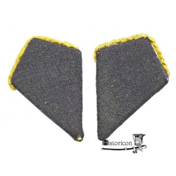 Łapki na kołnierz bluzy mundurowej – PSZnZ