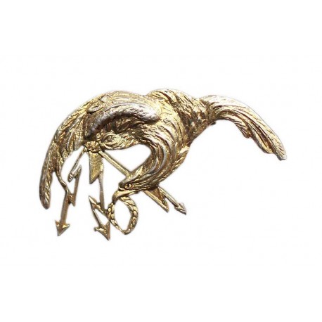 Miniatura oznaki obserwatora