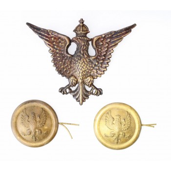 Orzeł weteranów Armii Hallera