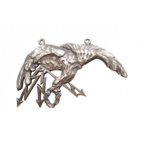 Odznaka pilota-obserwatora