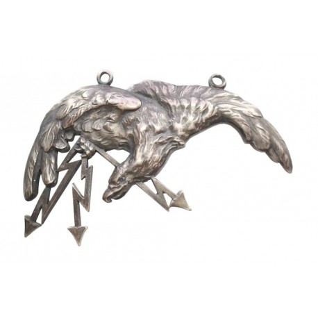 Odznaka pilota-obserwatora