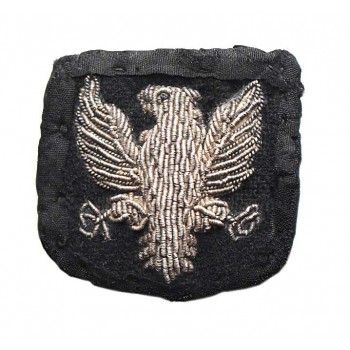 Orzeł organizacji polskich w USA