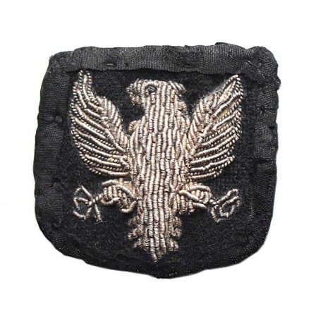 Orzeł organizacji polskich w USA