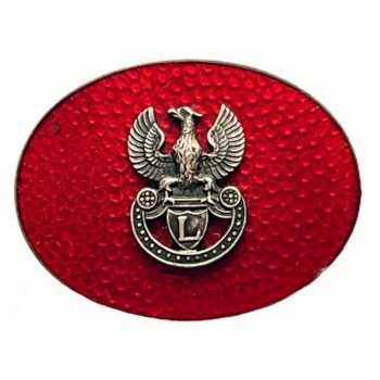 Broszka patriotyczna z orłem legionowym