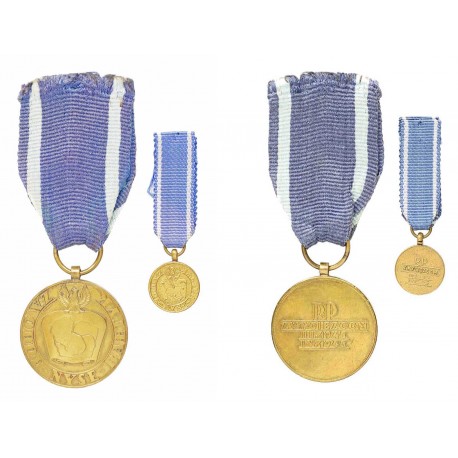 Medal ”ZA ODRĘ NYSĘ BAŁTYK” - wczesna wersja