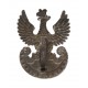 Nienotowana w literaturze wersja orła wz. 17,