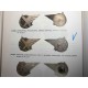 lotnicza