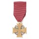 Odznaka „Powstaniec Broni”